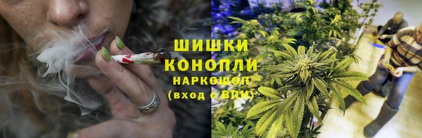 сатива Магадан