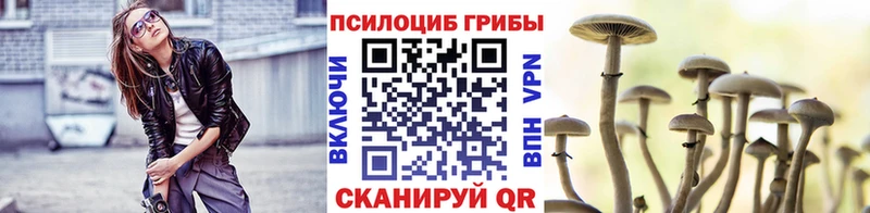 где купить наркоту  Фокино  darknet Telegram  Псилоцибиновые грибы Psilocybine cubensis 